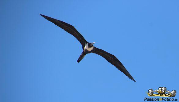 IMG_4454