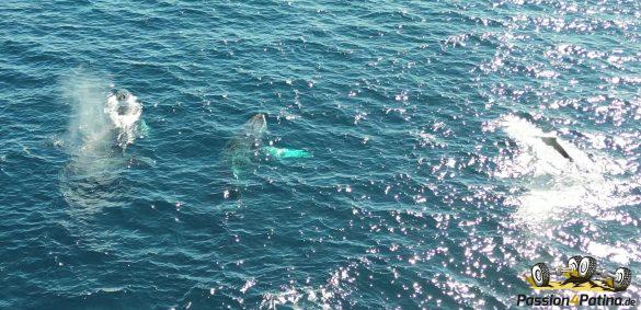 DJI_0177 – frame at 1m33s