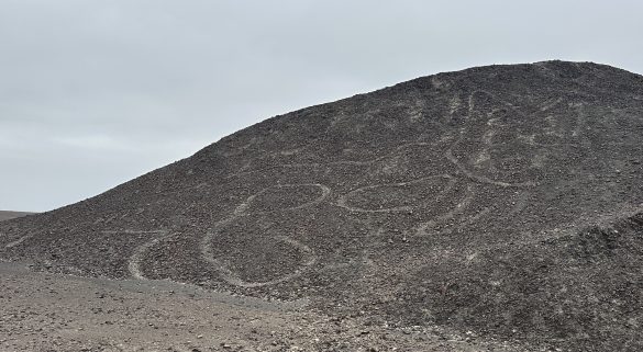 IMG_4013