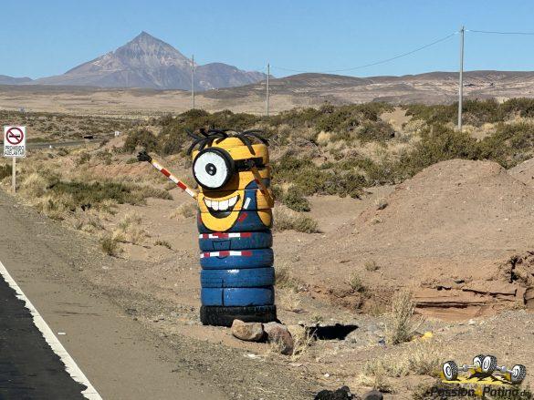 IMG_7537