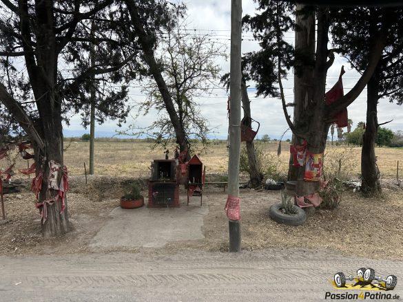 IMG_0031