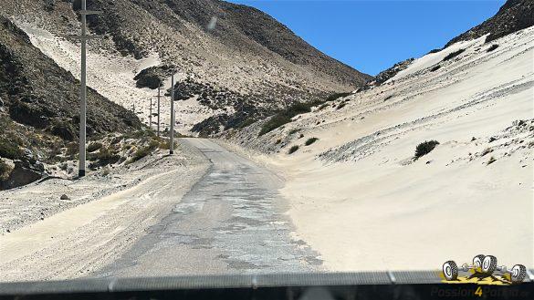 IMG_8981
